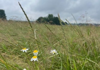 działka na sprzedaż - Orzesze, Gardawice